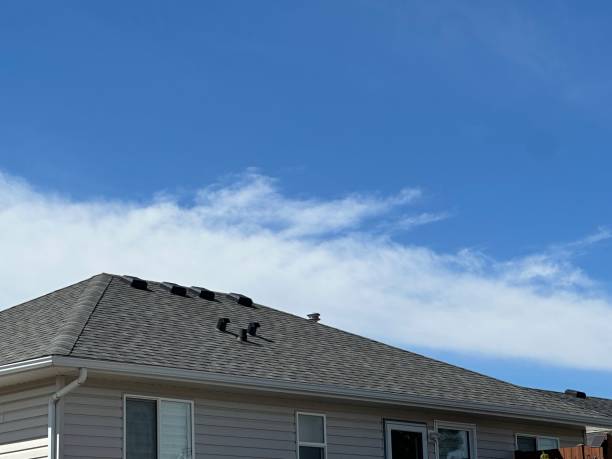Best Skylight Installation and Repair  in Hemet, CA
